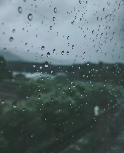 雨