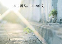 “我的2017”专题：回首2017，展望2018