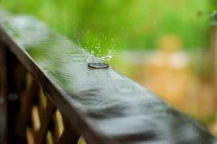 清晨馨雨